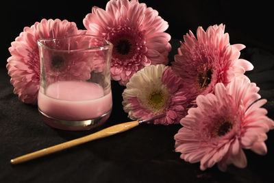 Close-up of pink roses on table against black background