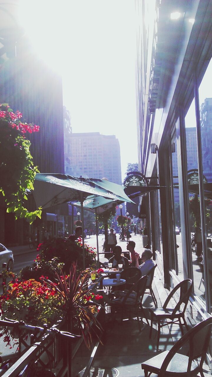 architecture, built structure, building exterior, sunlight, potted plant, city, chair, window, indoors, sunbeam, glass - material, flower, table, growth, day, sun, balcony, plant, building, car