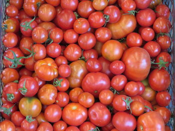 Full frame shot of tomatoes in market