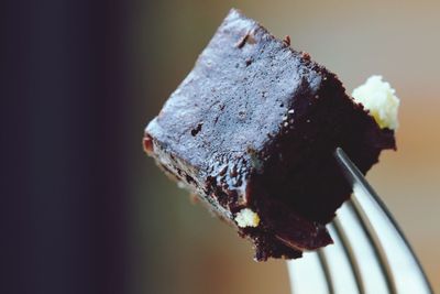 Close-up of fork with brownie