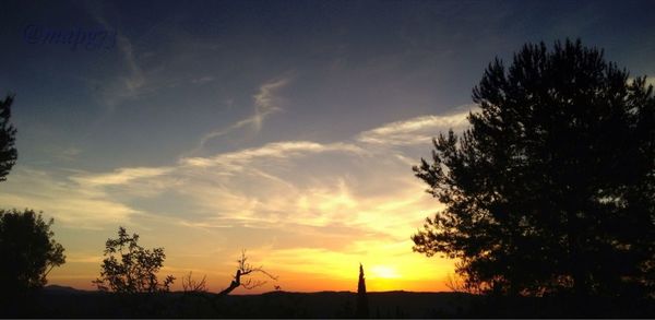 Silhouette of trees at sunset