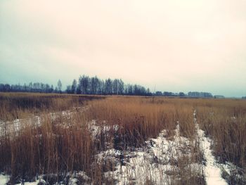 Scenic view of snow covered landscape