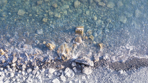 High angle view of crab on beach