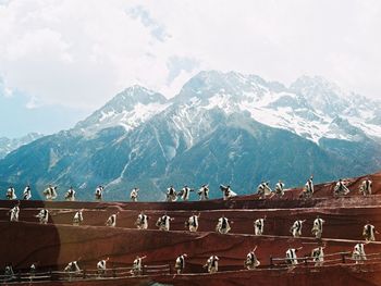 Group of people on snowcapped mountain against sky