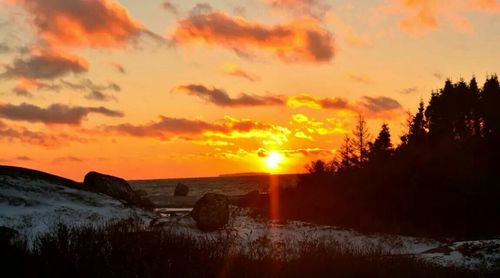 Scenic view of landscape against sky during sunset