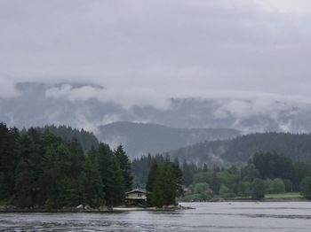 Scenic view of river amidst trees against sky