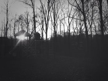 Sun shining through trees