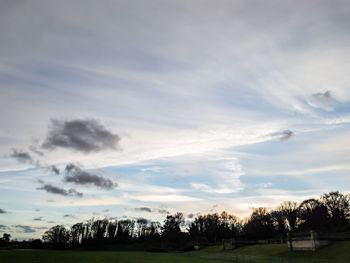 Trees on field against sky