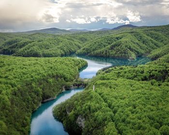 Scenic view of river amidst trees against sky