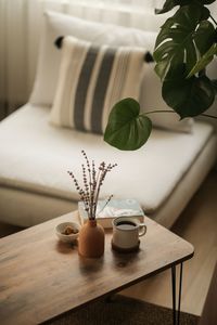 Potted plant on table at home