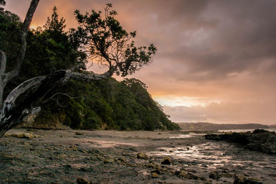 Scenic view of sea against sky at sunset