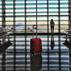 Rear view of man standing at airport