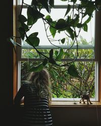 Plants hanging on tree