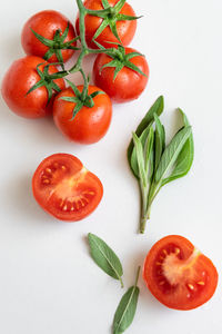 High angle view of tomatoes on table against white background