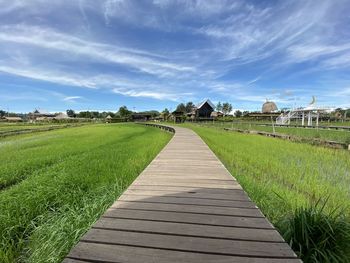Footpath amidst grassy field against sky