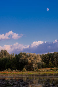 Scenic view of lake against blue sky