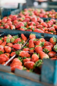 Close-up of fruits in container