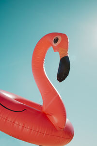 Flamingo float over the blue sk