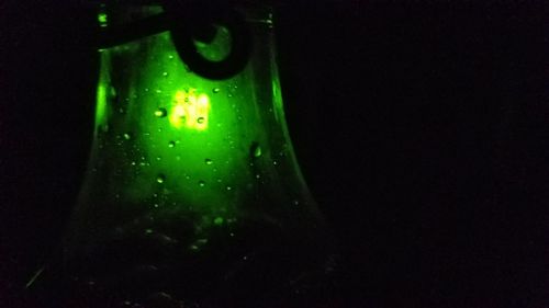 Close-up of water drops on bottle against black background