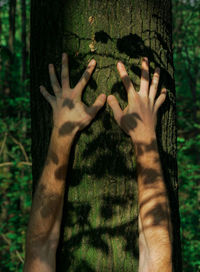 Close-up of human hand on tree trunk