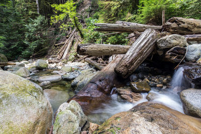 Stream flowing through rocks in forest