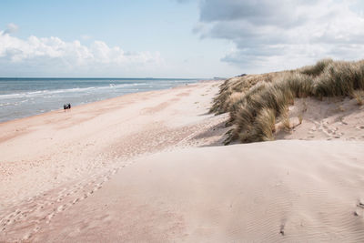 Scenic view of beach against sky