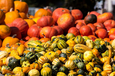 Pumpkins for sale at market stall