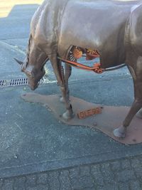 Low section of person with horse on street