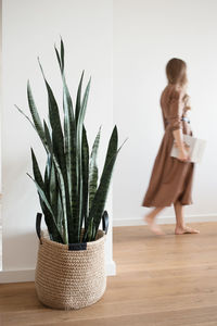 Moving silhouette of woman in light interior with plant in jute basket