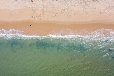 View of bird flying over sea