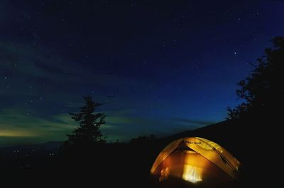 Low angle view of trees at night