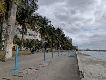 Palm trees on beach against sky