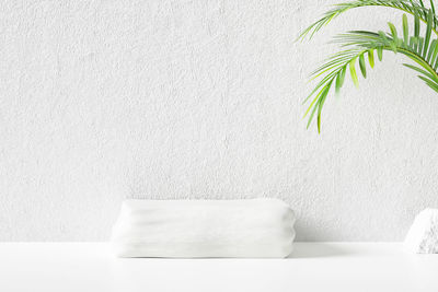 Close-up of potted plant on table against wall at home