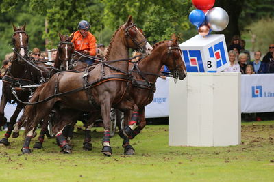 People riding horses