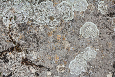 Full frame shot of stone wall