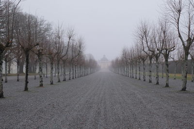 Road amidst trees against clear sky