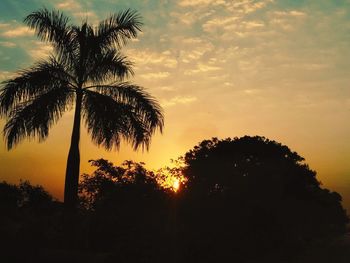 Low angle view of silhouette coconut palm trees against sky during sunset