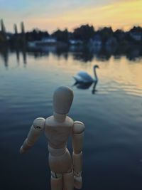 Close-up of swan in lake against sky