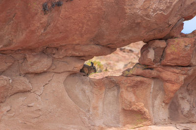 Close-up of rock formations