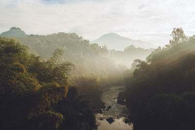 Scenic view of trees and mountains against sky