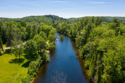 High angle view of river amidst trees in forest against sky