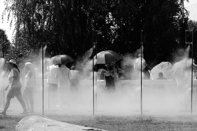 Rear view of people standing by plants