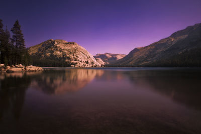 Reflection of trees in lake