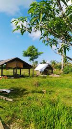 House on grassy field