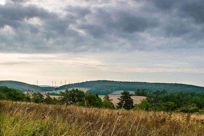 Scenic view of field against sky