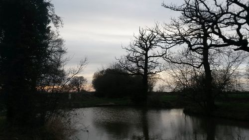 Reflection of trees in lake