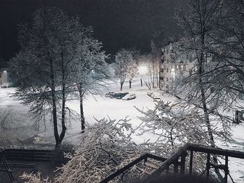 Bare trees against sky during winter