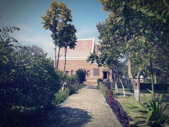 Footpath amidst trees in garden