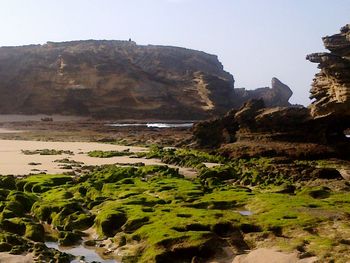 View of beach against sky