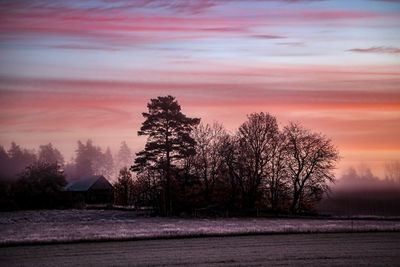Silhouette trees on field against sky during sunset